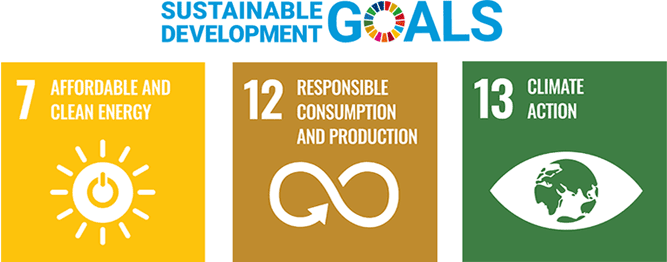 Our Sustainable Development Goals