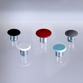 Painted Rivets